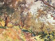 John Singer Sargent Trees on the Hillside at Majorca Spain oil painting artist